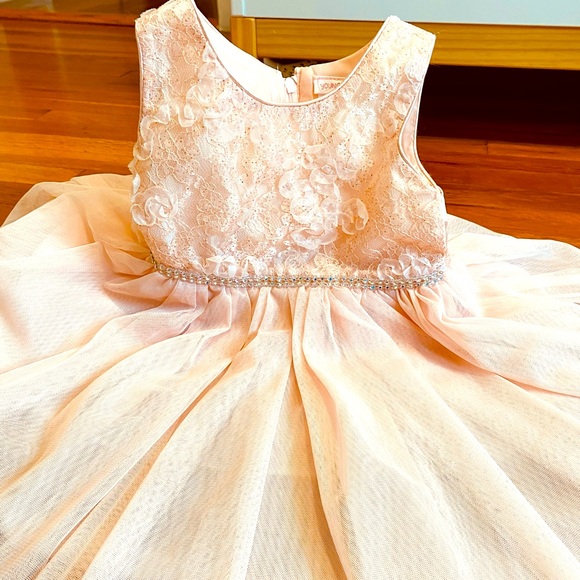 Youngland Other - Youngland, Lace dress 2T  girl with embellishment. Pink